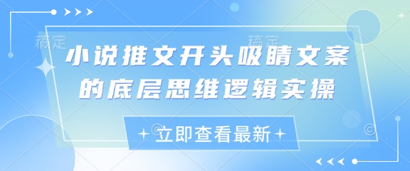 小说推文开头吸睛文案的底层思维逻辑实操_微雨项目网