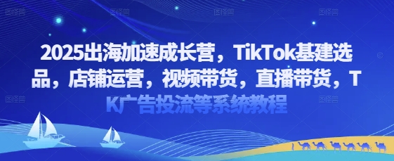 2025出海加速成长营，TikTok基建选品，店铺运营，视频带货，直播带货，TK广告投流等系统教程_微雨项目网
