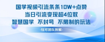 国学视频引流条条10W+点赞当日引流变现超4位数_微雨项目网