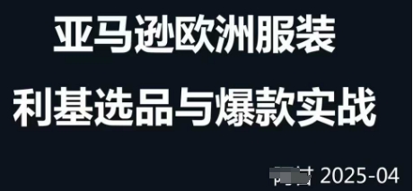 跨境电商选品案例24-25年，聚焦跨境电商选品策略与运营优化，助力卖家挖掘蓝海市场_微雨项目网