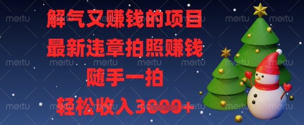 解气又挣钱的项目，最新违章拍照挣钱，随手一拍，轻松收入数张【揭秘】_微雨项目网