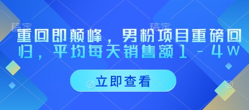 重回即颠峰，男粉项目重磅回归，平均每天销售额1-4W_微雨项目网