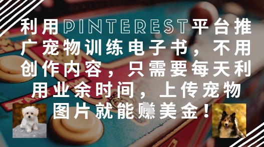 利用Pinterest平台推广宠物训练电子书，不用创作内容，只需要每天利用业余时间，上传宠物图片就能挣美金!_微雨项目网