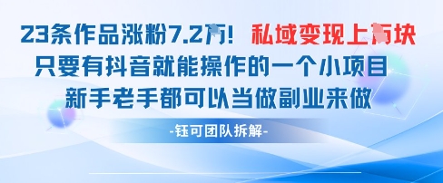 抖音私域项目23条作品涨粉7.2W，私域变现1W_微雨项目网