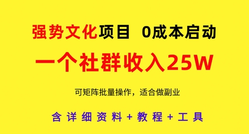 强势文化项目，一个社群收入25个W，0成本启动，可矩阵批量操作，原创详细实操教程_微雨项目网