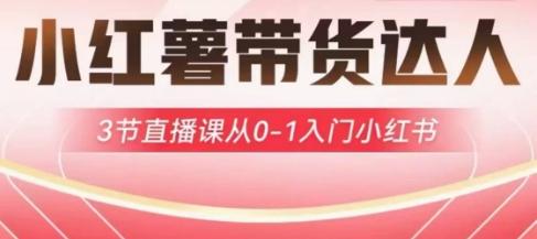 小红薯达人带货启航计划，3节直播课从0-1入门小红书_微雨项目网