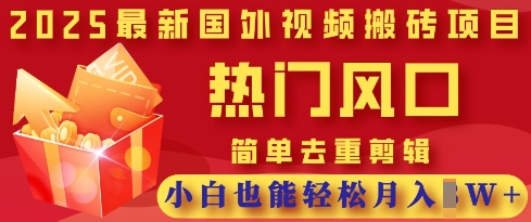 2025最新视频搬砖项目，热门风口，简单去重剪辑，小白也能轻松月入过W_微雨项目网