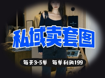 私域卖套图每天3-5单，每单利润99_微雨项目网