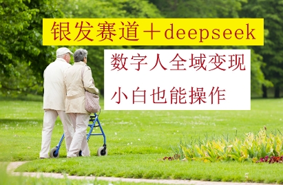 银发赛道+deepseek数字人全域变现，小白也能操作_微雨项目网