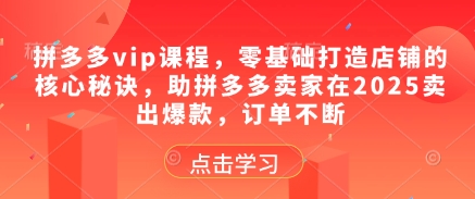 拼多多vip课程，零基础打造店铺的核心秘诀，助拼多多卖家在2025卖出爆款，订单不断_微雨项目网