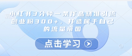 小红书3分钟一条作品精准引流创业粉300+，打造属于自己的流量帝国_微雨项目网