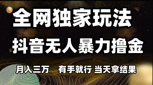 全网独家玩法抖音无人暴力撸金，月入3W，有手就行，当天拿结果【揭秘】_微雨项目网