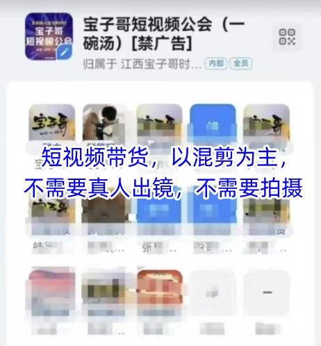 宝子哥头部团队短视频带货，以混剪为主，不需要真人出镜，不需要拍摄【更新】_微雨项目网