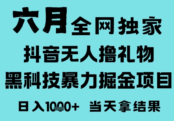 25年6月高爆抖音无人直播最新撸音浪掘金项目，门槛低小白可做，无脑日入1k，可矩阵放大【揭秘】_微雨项目网