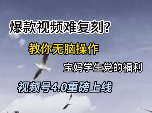 视频号4.0重磅上线，爆款视频难复刻？教你无脑操作宝妈学生党的福利【揭秘】_微雨项目网