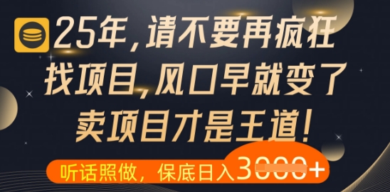 什么？25年你还在疯狂找项目做，醒醒吧，看完这些你全都懂了【揭秘】_微雨项目网
