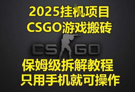 2025挂G项目，CSGO游戏搬砖，保姆级拆解教程，只用手机就可操作【揭秘】_微雨项目网