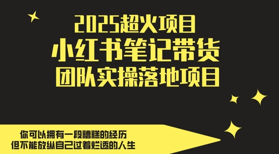 2025超火项目，副业最佳选择，小红书笔记带货团队实操落地项目，，轻松日入5张_微雨项目网