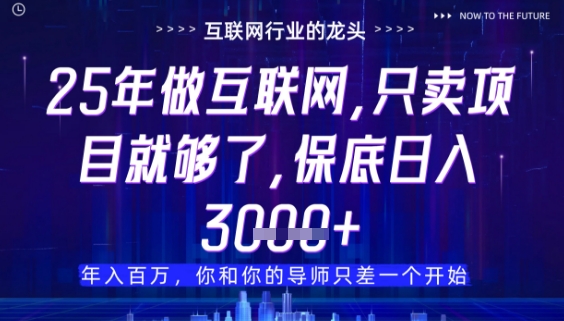 什么！25年你还在找项目做？风口早就变了，卖项目才是稳挣不赔【揭秘】_微雨项目网