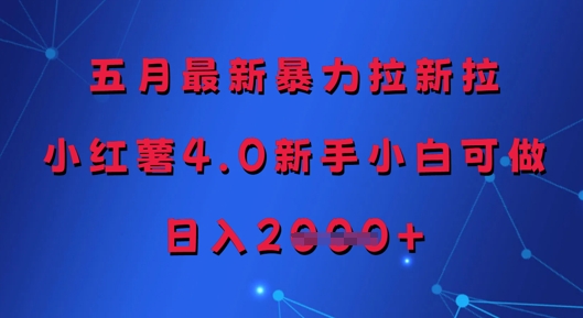 五月最新暴力拉新拉，小红薯4.0新手小白可做，日入多张_微雨项目网