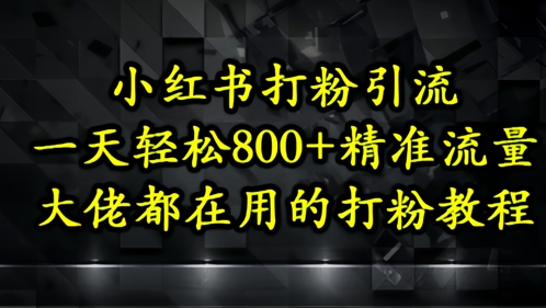 小红书打粉引流，一天轻松500+精准流量，大佬都在用的打粉教程_微雨项目网