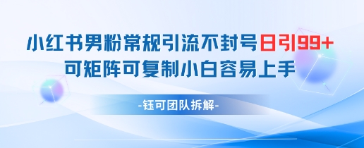 小红书男粉常规引流不封号日引99+变现简单 可矩阵可复制小白容易上手_微雨项目网