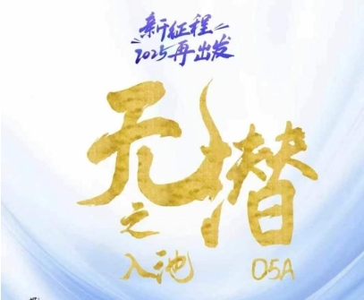 无潜不起全域入池方法论，​2025再出发，全程干货满满，带你掌握全域入池关键技巧_微雨项目网