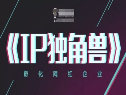 IP独角兽，孵化网红企业，ip教程_微雨项目网