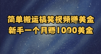 简单搬运搞笑视频挣美金，新手一个月入1k美金_微雨项目网