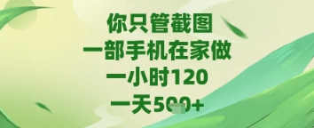 你只管截图，一部手机在家做，苹果安卓都可以，一天5张+【揭秘】_微雨项目网