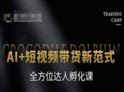 AI+短视频带货新范式，全方位达人孵化课_微雨项目网