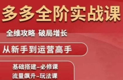 拼多多全阶实战课程，全维攻略，破局增长，从新手到运营高手_微雨项目网