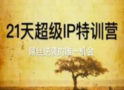 21天超级IP特训营，屌丝逆袭的唯一机会_微雨项目网