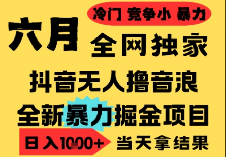 25年6月高爆抖音无人直播最新撸音浪掘金项目，小白可做，无脑日入1k+，门槛低可批量矩阵【揭秘】_微雨项目网