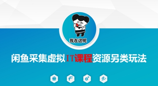 闲鱼采集虚拟IT课程资源另类玩法，干货满满_微雨项目网