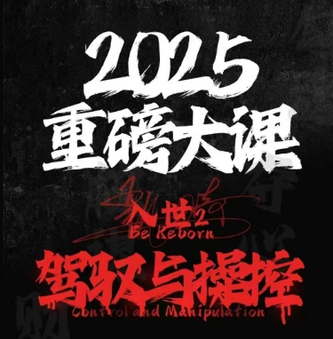 2025重磅大课，入世2，驾驭与控制_微雨项目网