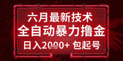 六月最新技术全自动暴力撸金，稳定日入2k+包起号，长期稳定【揭秘】_微雨项目网