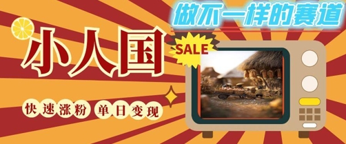 DeepSeek+绘图+视频制作小人国微观视频，小白轻轻松松上手，条条爆款，条条变现，单日就能收益_微雨项目网