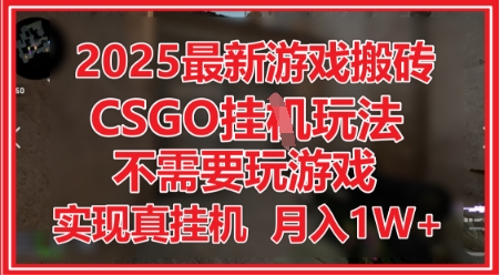 2025最新游戏搬砖，CSGO挂G，不需要玩游戏，实现真挂G，月入1W+【揭秘】_微雨项目网