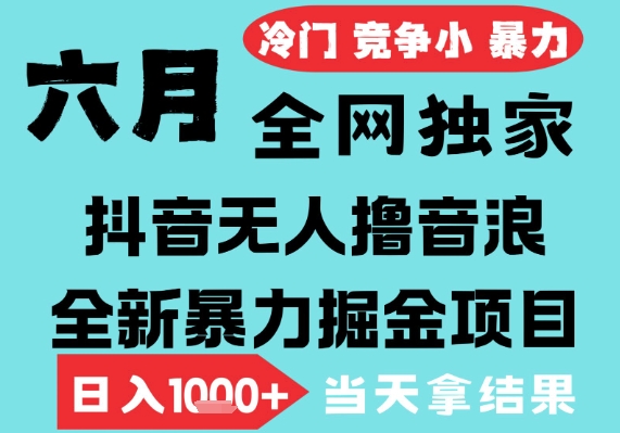2025年6月高爆抖音无人直播最新撸音浪掘金项目，无脑日入1k+，低门槛小白可做，可矩阵放大【揭秘】_微雨项目网