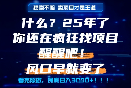 什么？25年你还在疯狂找项目做，醒醒吧，看完这些你全都懂了！【揭秘】_微雨项目网