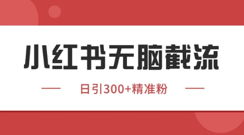 小红书只要你有同行就能获客，独家野路子获客玩法，暴力截流【揭秘】_微雨项目网