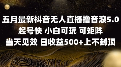 2025五月最新无人直播撸音浪单日产出5张+实操教程【揭秘】_微雨项目网