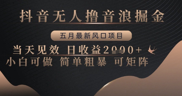 抖音无人撸音浪掘金，五月最新风口项目，当天见效，日收益多张，小白可做简单粗暴可矩阵【揭秘】_微雨项目网