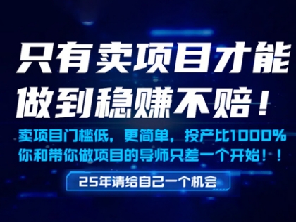 只有卖项目才能做到稳挣不赔，门槛低，更简单，你也可以年入百个W【揭秘】_微雨项目网