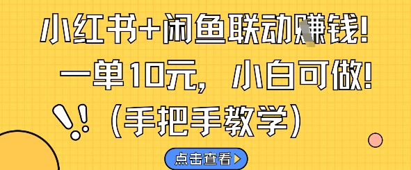 小红书+闲鱼联动挣钱，一单10元，小白可做_微雨项目网