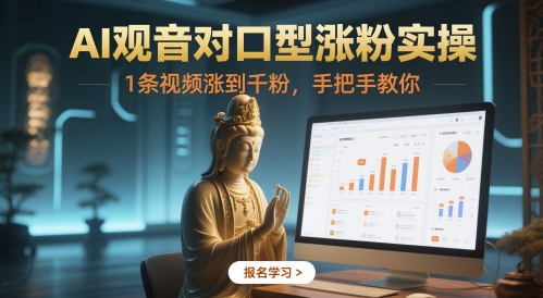 AI观音对口型涨粉实操，1条视频涨到千粉，手把手教你_微雨项目网