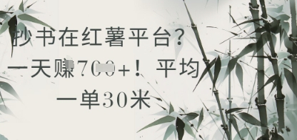 抄书在小红薯平台？平均一单30米，一天收益几张！_微雨项目网