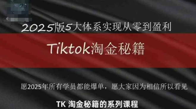 TikTok跨境2025淘金秘籍，​2025TikTok从0到盈利变现_微雨项目网