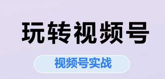 玩转视频号，视频号实战系列课_微雨项目网